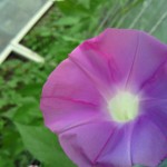 01 01