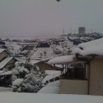 IMG_0707 IMG_0707